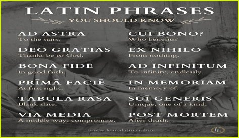 A Profile Of A Latin Beauty