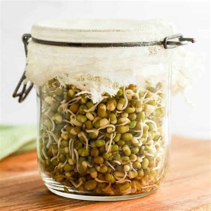 Are bean sprouts a root vegetable
