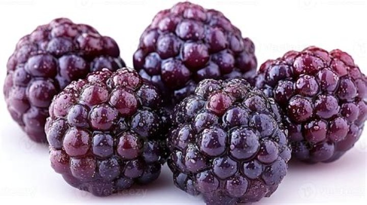 Are Blackberries purple