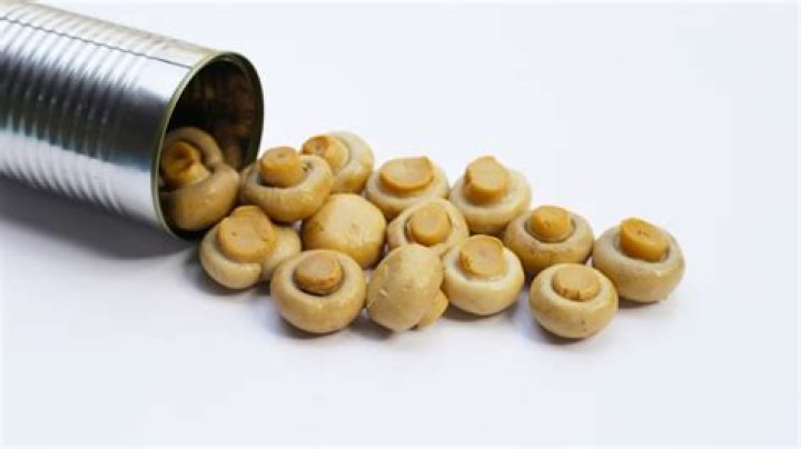 Are canned mushrooms real mushrooms