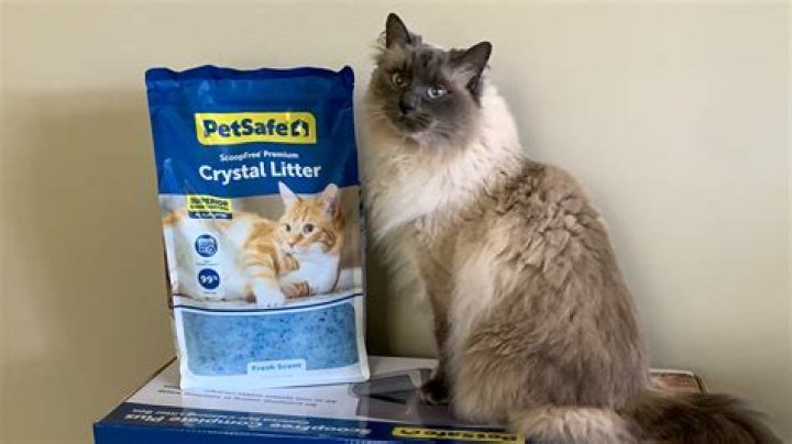 Are cat litter crystals biodegradable