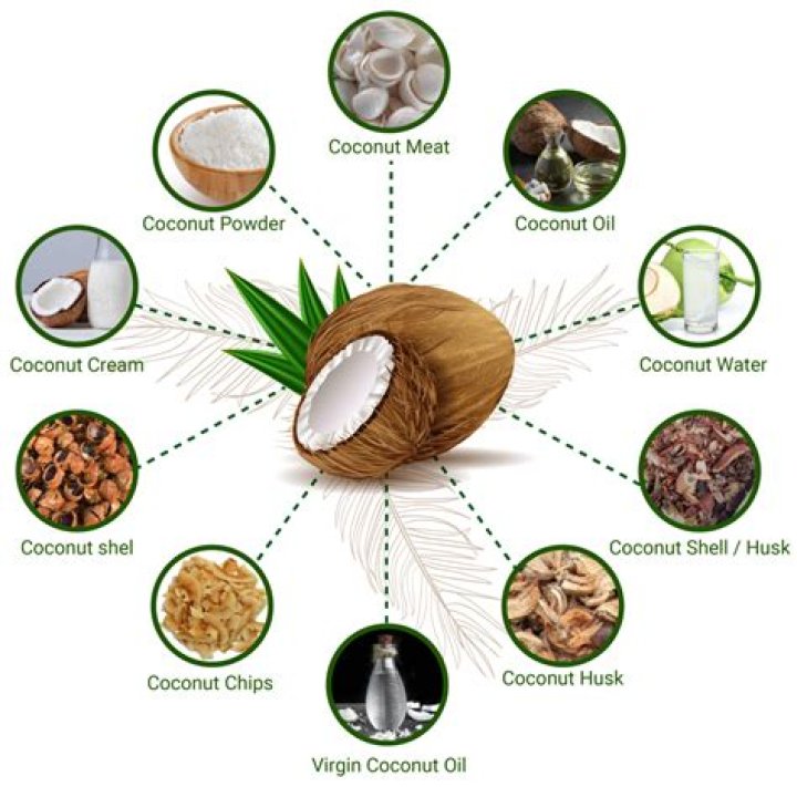 Are coconuts high in fiber