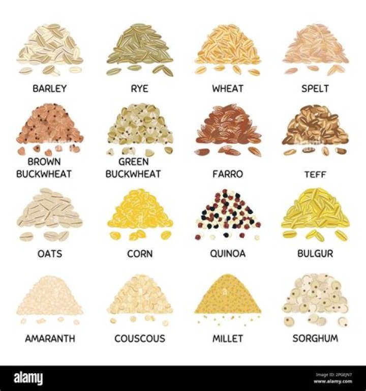 Are corn and rice grains