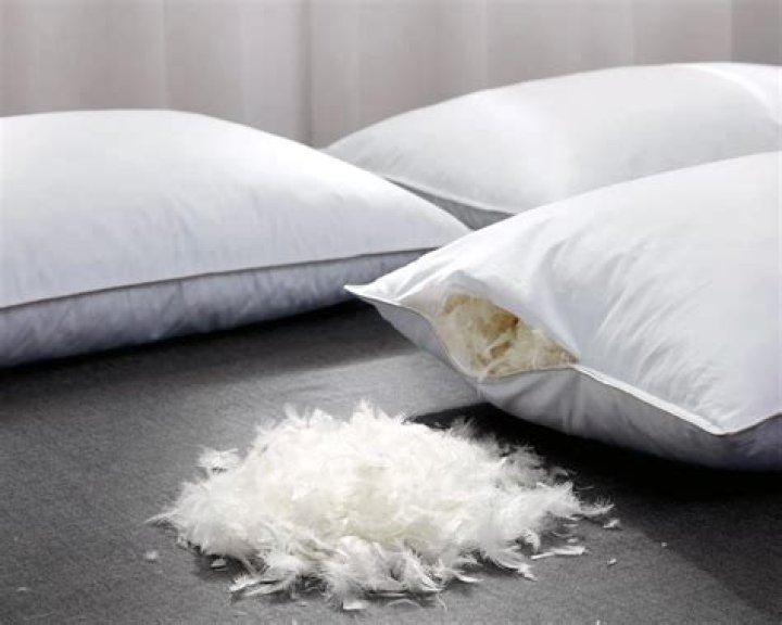 Are duck feather pillows bad for asthma