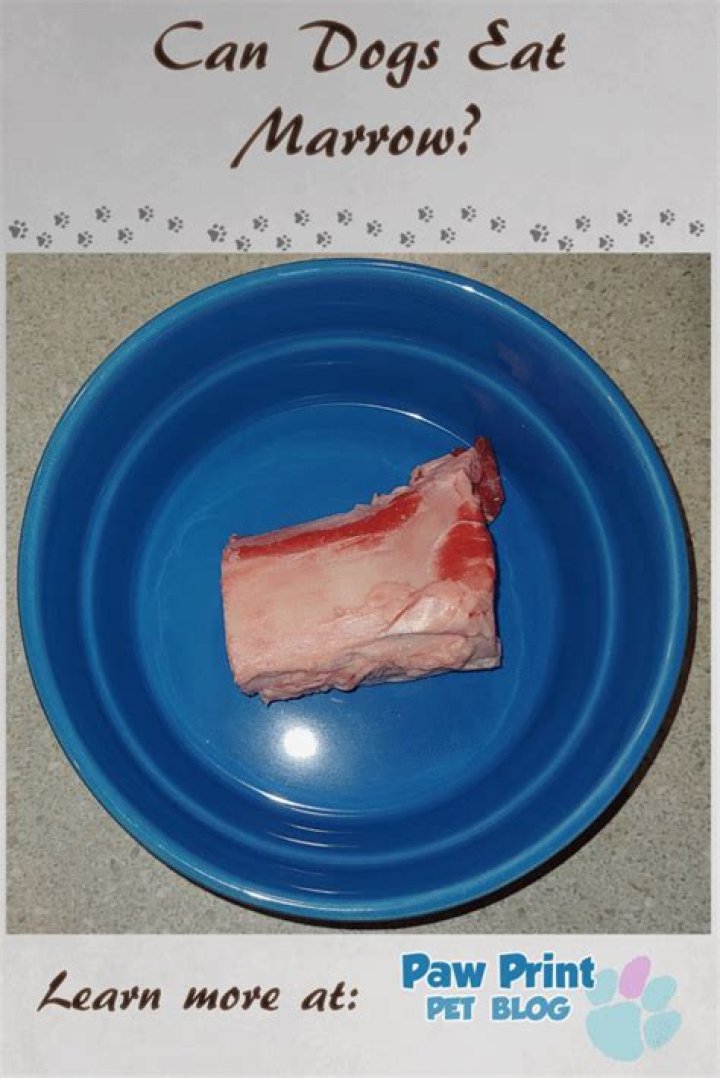 Are frozen marrow bones good for dogs