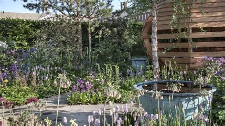 Are garden snakes good for gardens