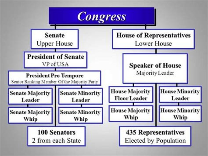 Are members of Congress a representative cross section