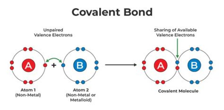 Are molecular and covalent compounds the same