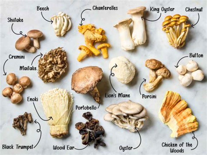 Are mushrooms bad for a diet