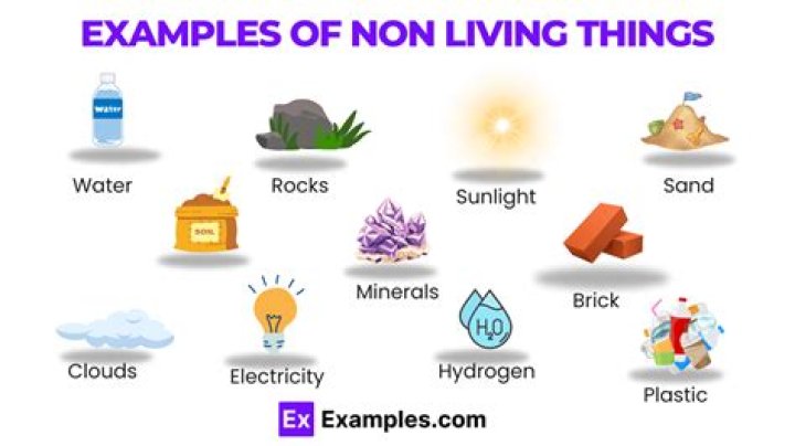 Are non living things made of molecules