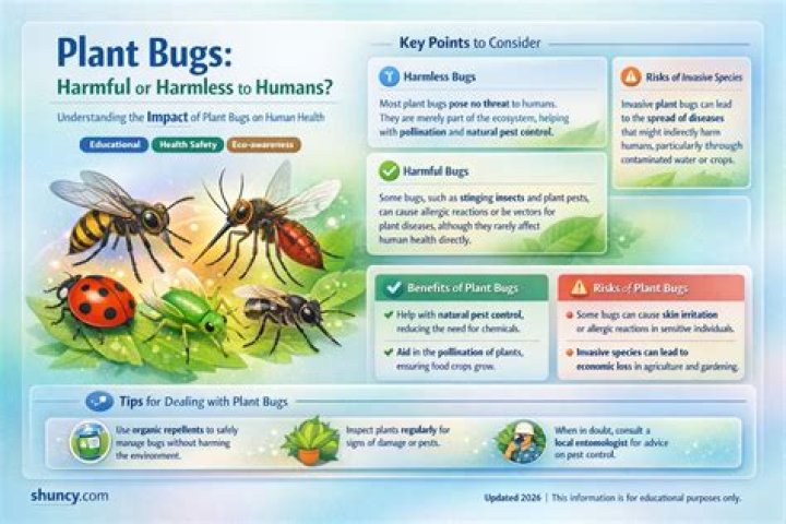 Are plant bugs harmful to humans