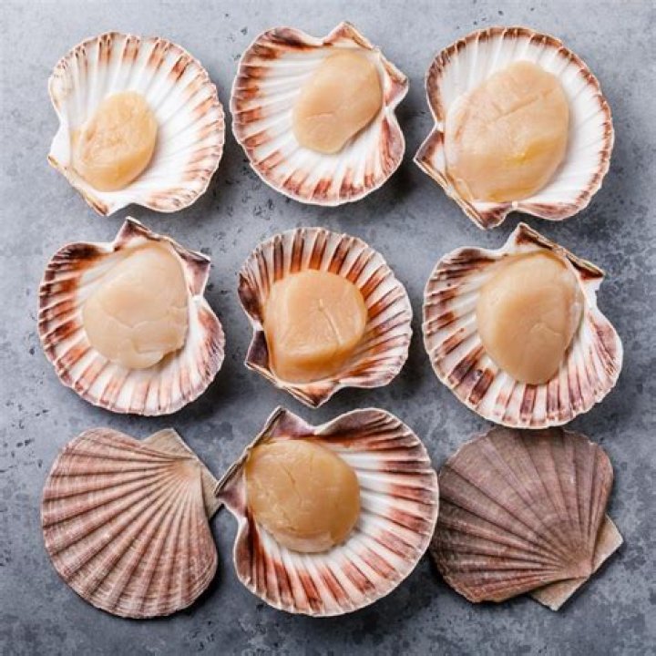 Are scallops supposed to be sweet