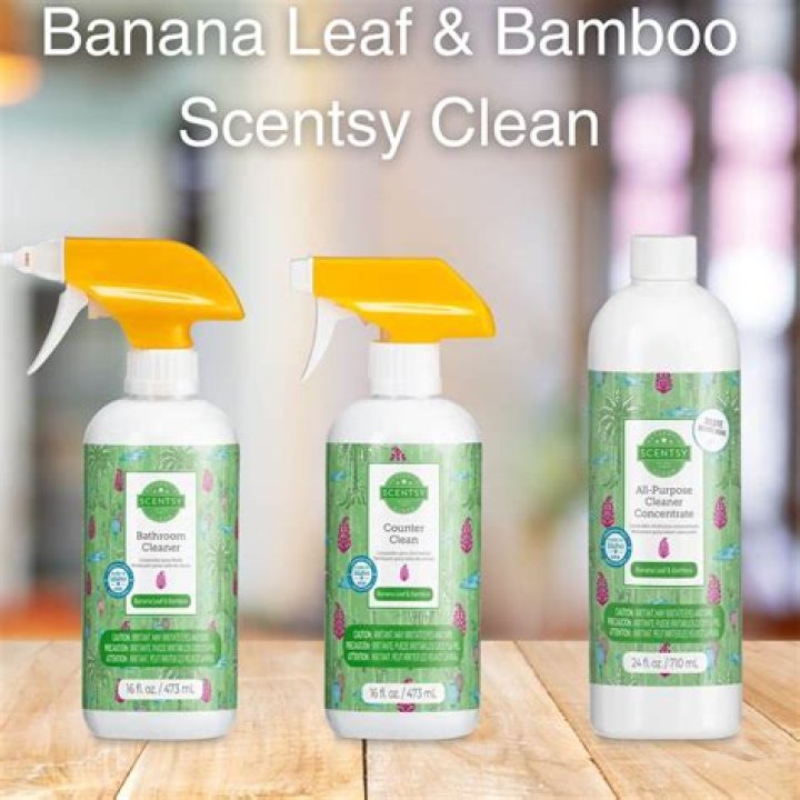 Are scentsy cleaning products all natural