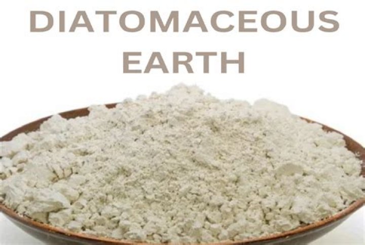 Are there different types of diatomaceous earth