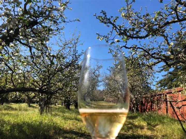 Are there sulfites in apple cider vinegar