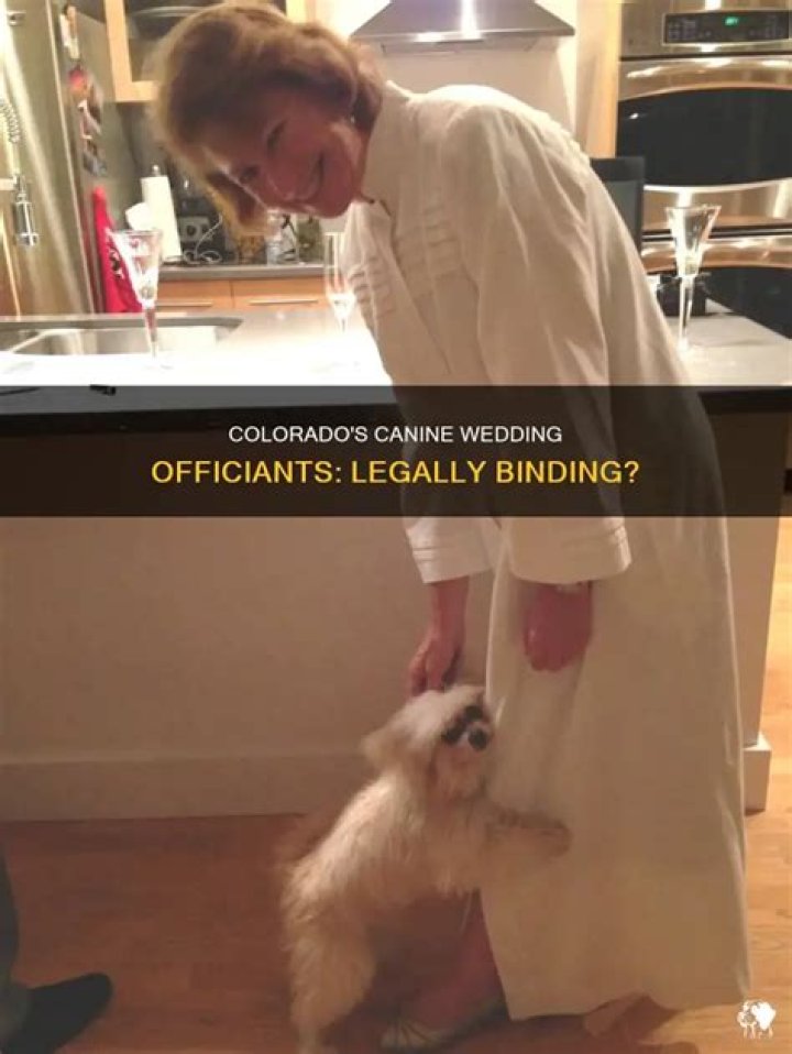 Can a dog officiate a wedding