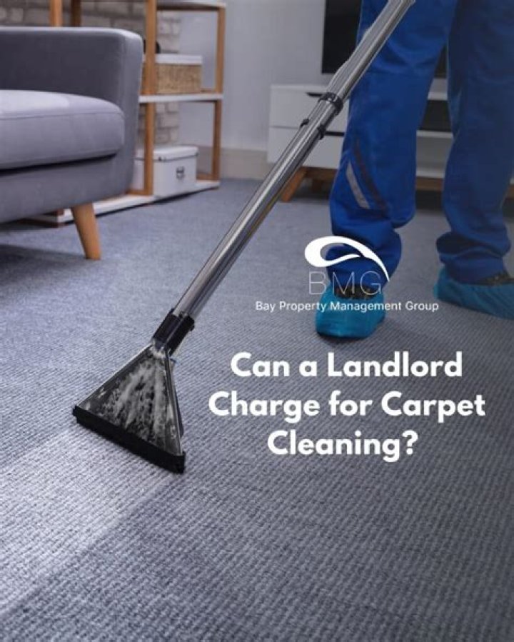 Can a landlord charge for carpet cleaning in MN