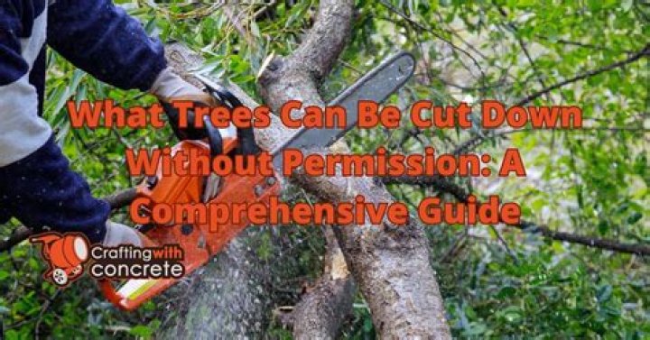 Can a tree be cut down without permission
