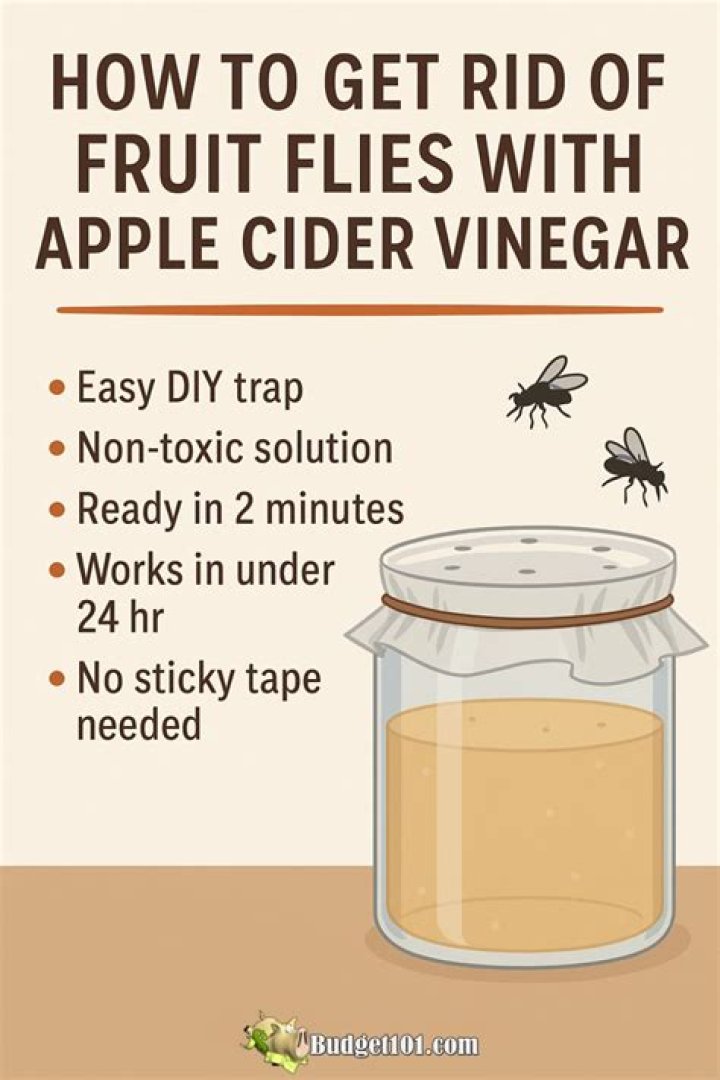 Can Apple cider vinegar kill aphids