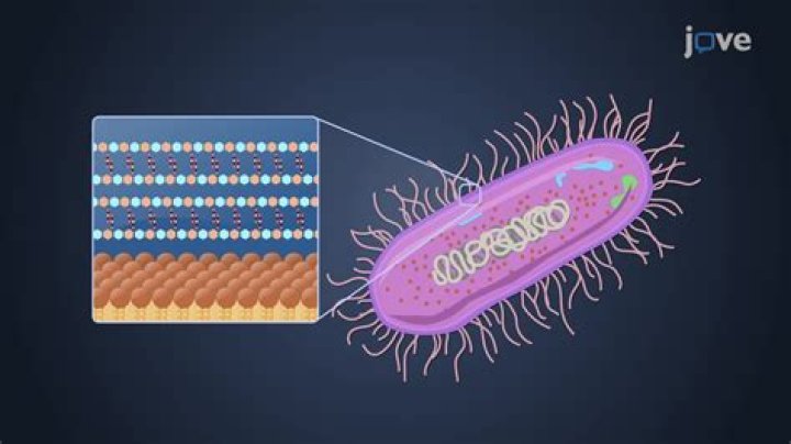 Can archaea cells move