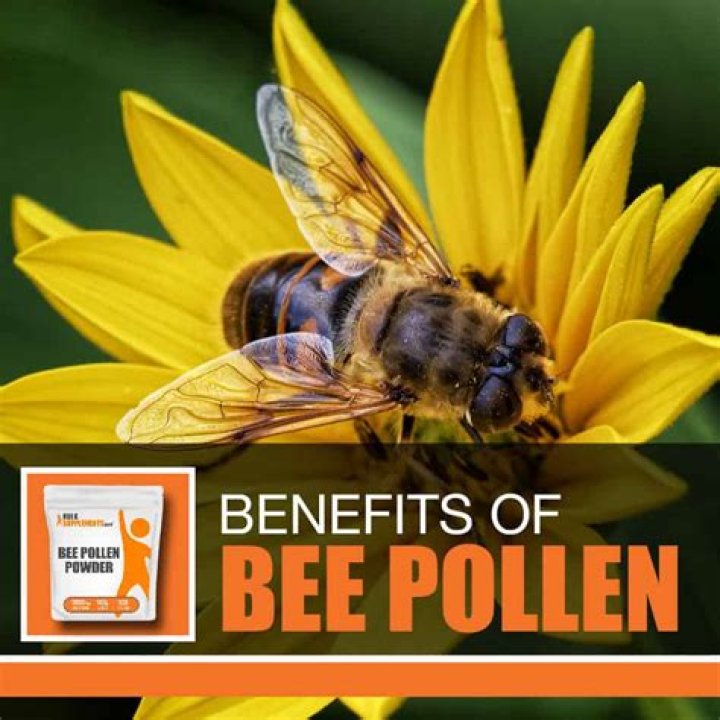 Can bee pollen make you sick