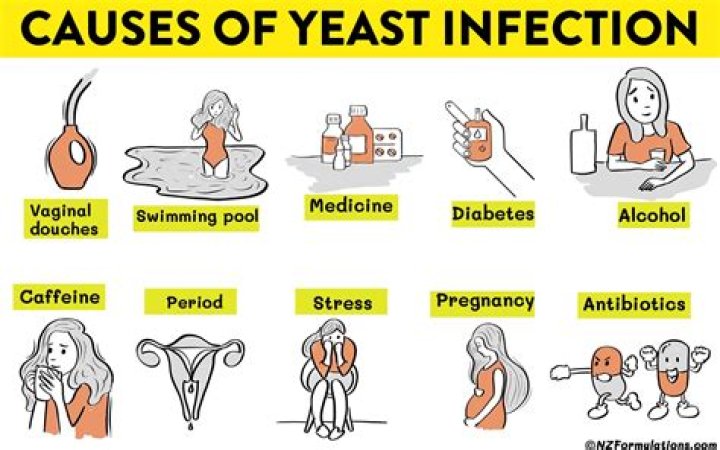 Can brewers yeast cause a yeast infection