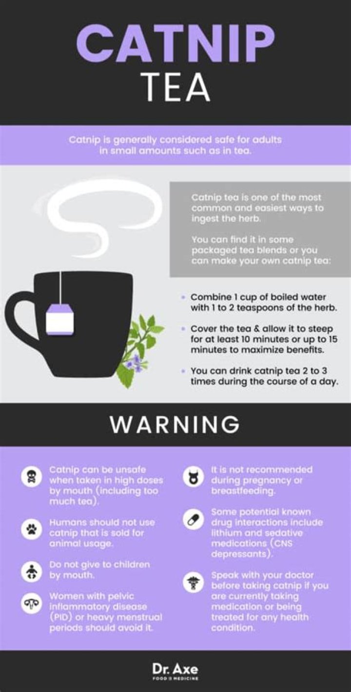 Can cats drink catnip tea