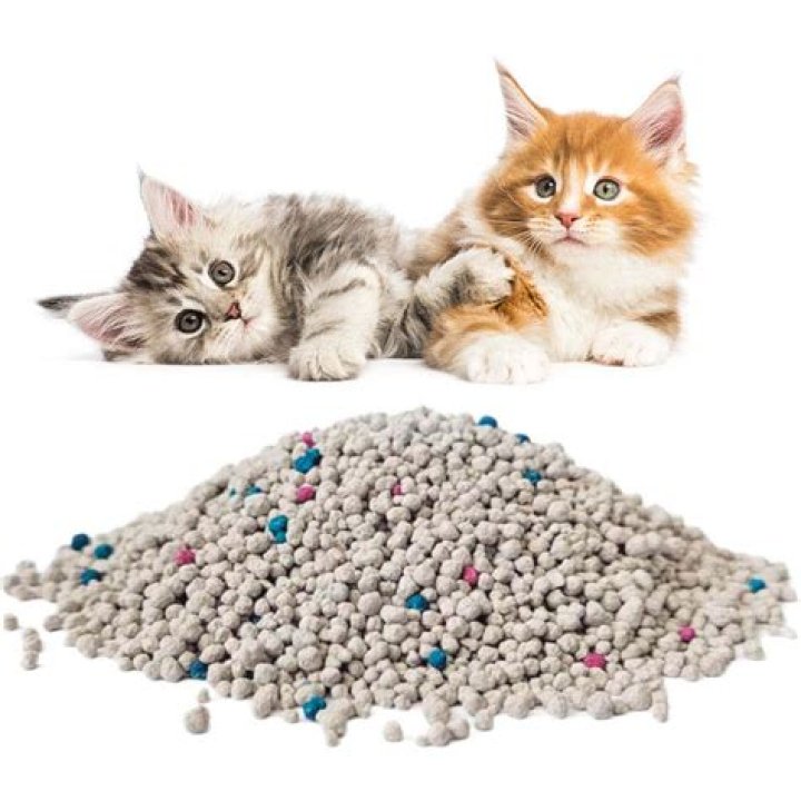 Can clumping cat litter make cats sick