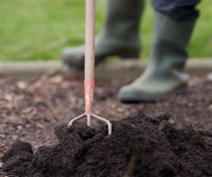 Can compost be used as mulch