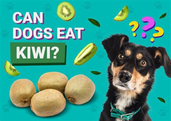 Can dogs eat Batata