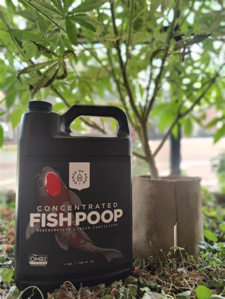 Can fertilizer be stored outside