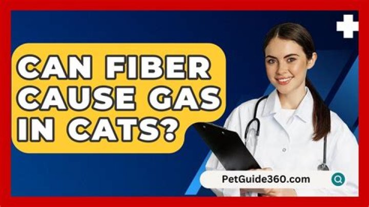 Can Fiber cause gas