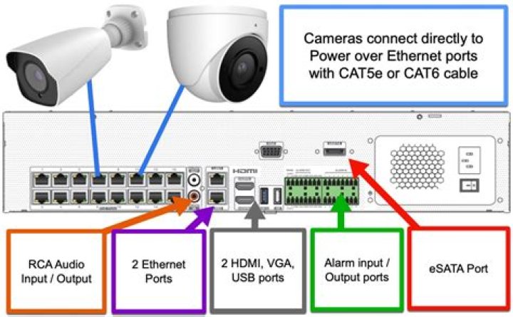 Can I connect IP camera directly to NVR