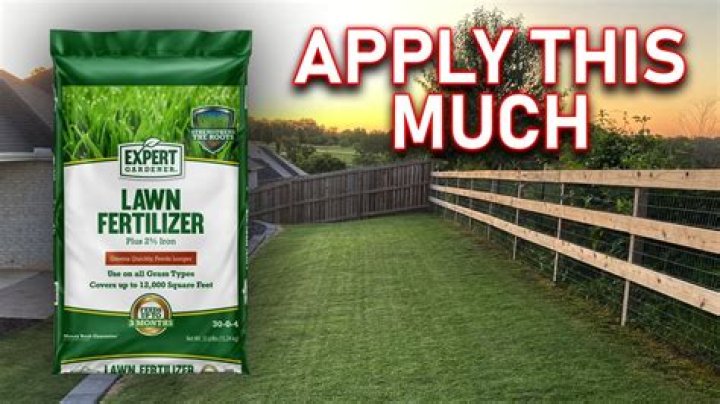 Can I fertilize my lawn every 2 weeks