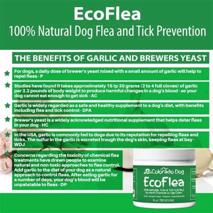 Can I give my dog garlic powder for fleas