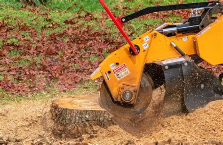 Can I grind a stump with an angle grinder