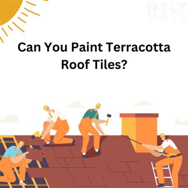 Can I paint my tin roof