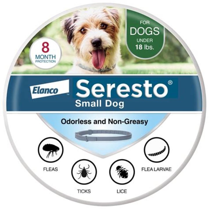 Can I remove Seresto collar at night