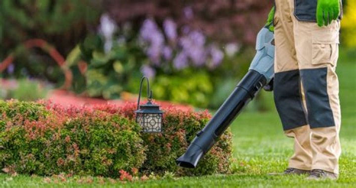 Can I spray 2 4 D on my lawn