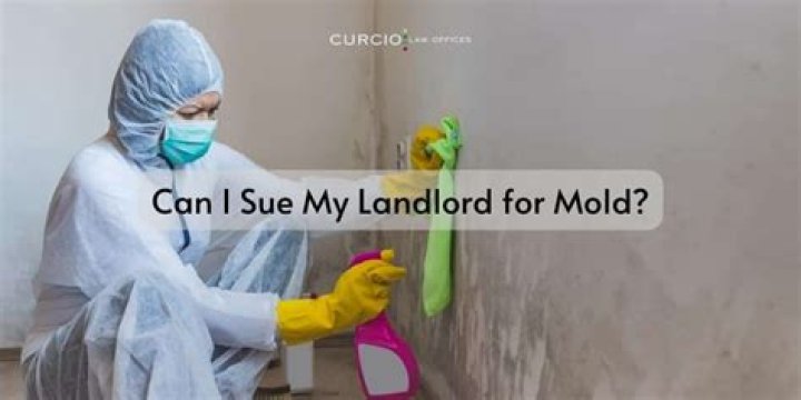 Can I sue my landlord for lead paint
