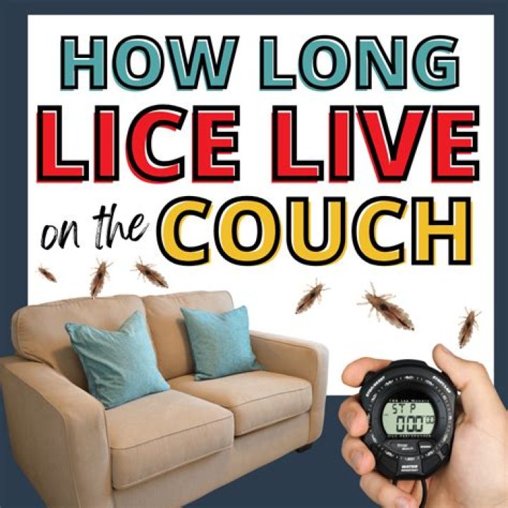 Can lice live in your mouth