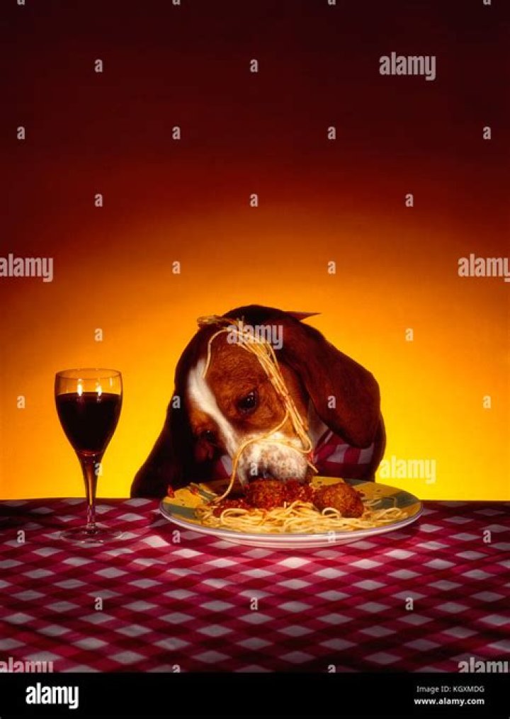 Can my dog eat spaghetti