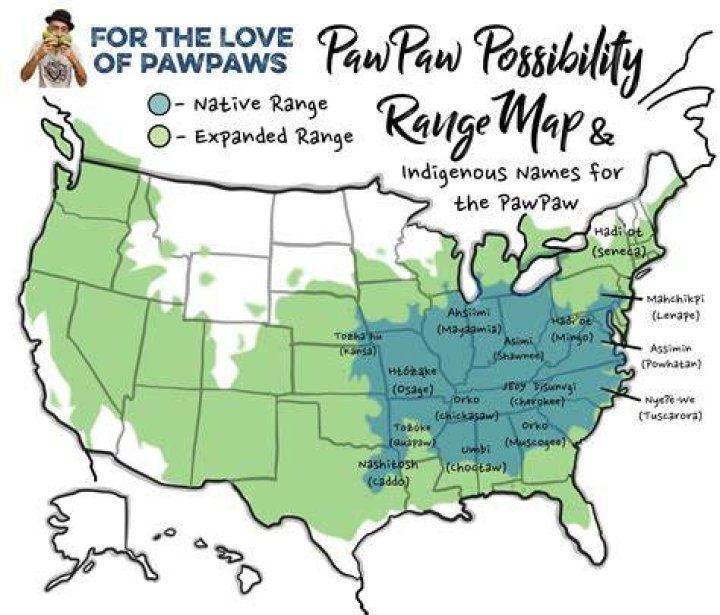 Can Pawpaw grow in California