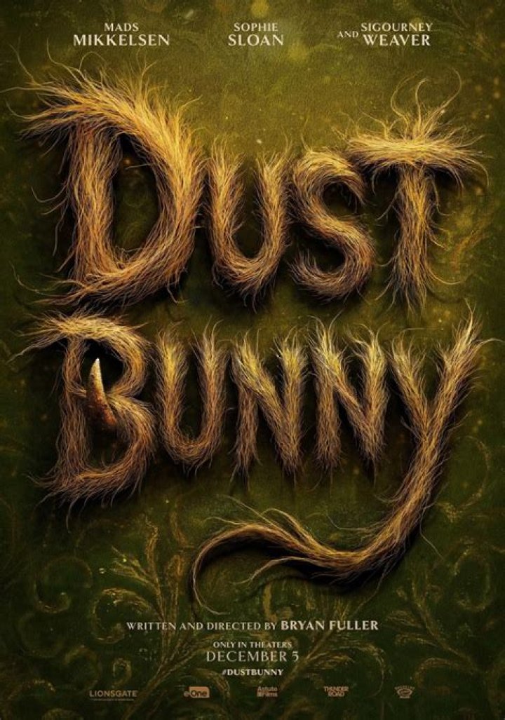 Can spiders kill bunnies