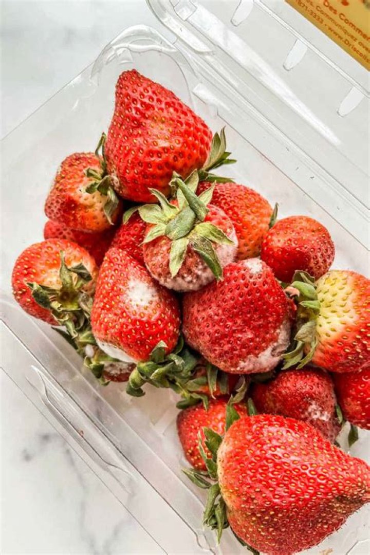 Can strawberries be left out of the refrigerator