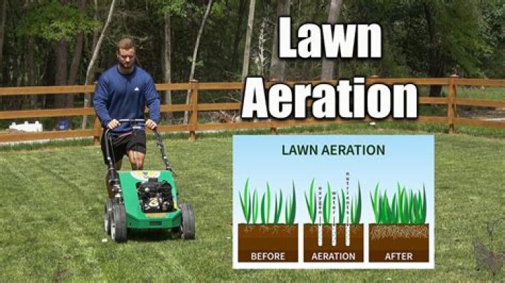 Can you aerate your lawn in August