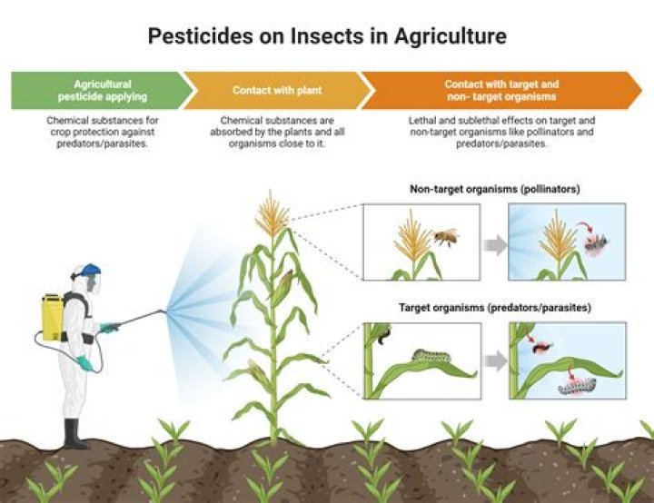 Can you apply fungicide and insecticide at the same time
