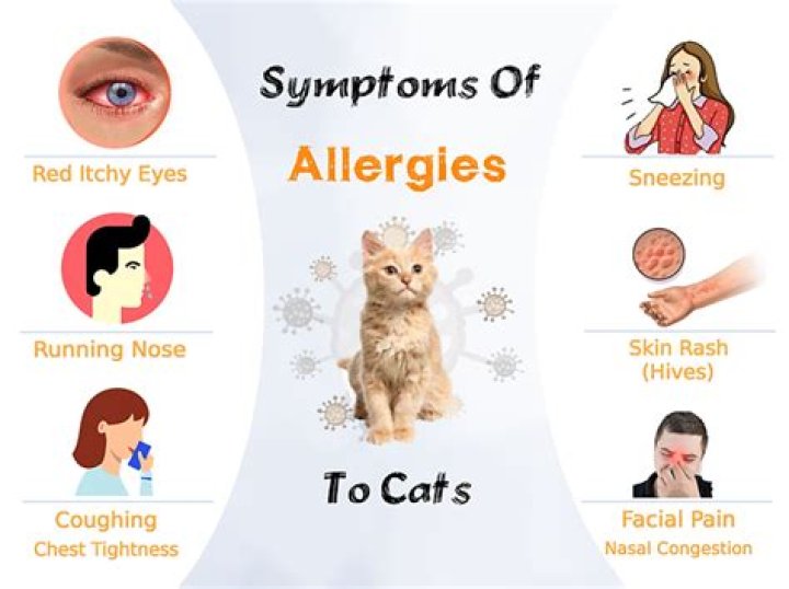 Can you be allergic to ferns