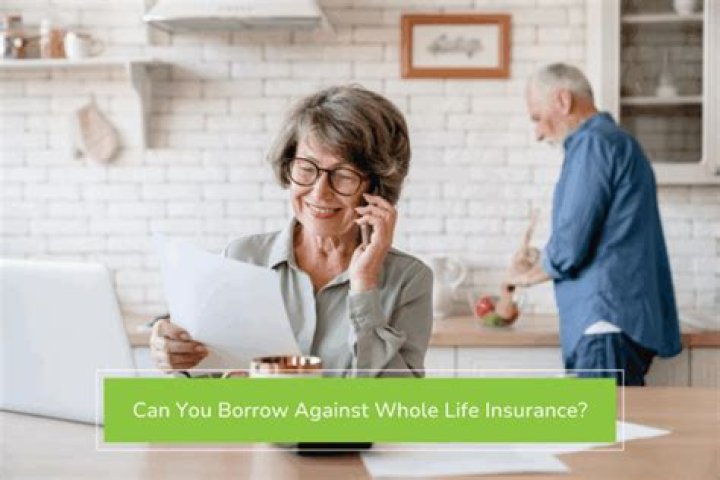 Can you borrow against your Vgli