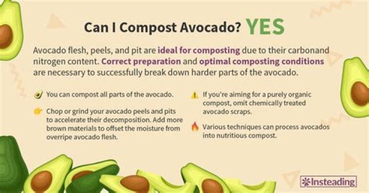 Can you compost avocado skins